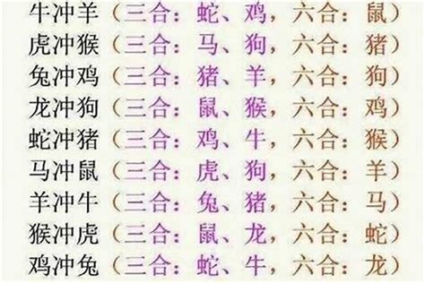 12生肖合|12 生肖配對的三合，六合，沖六，守衛保護六